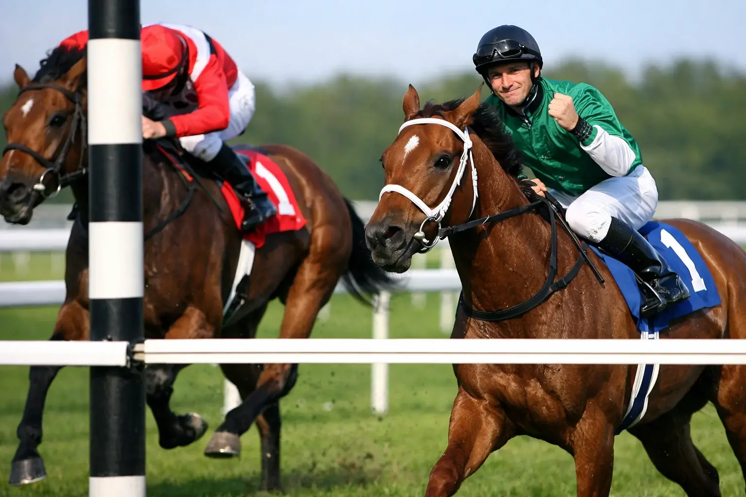 Pferd überquert die Ziellinie als Zweiter